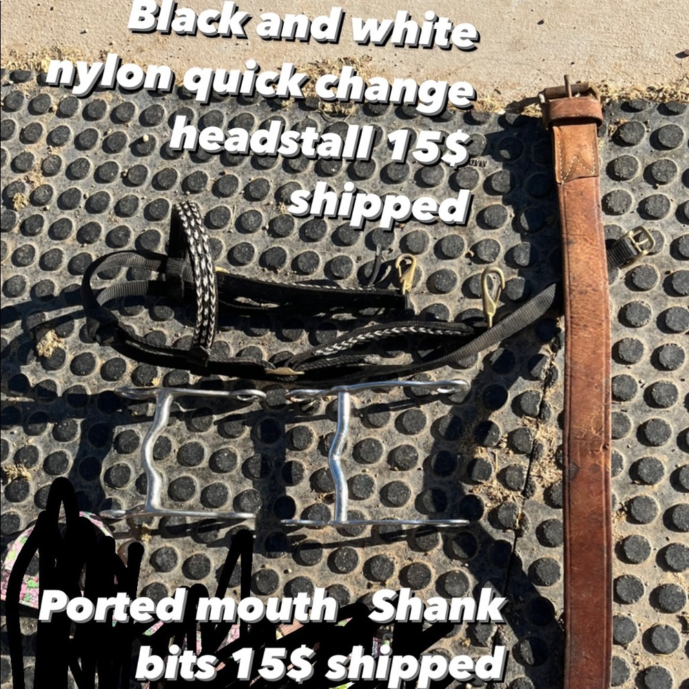 Horse tack